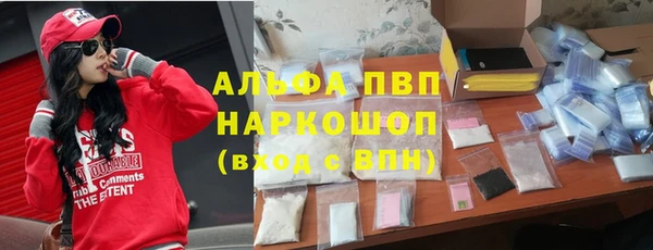 гидра Белокуриха