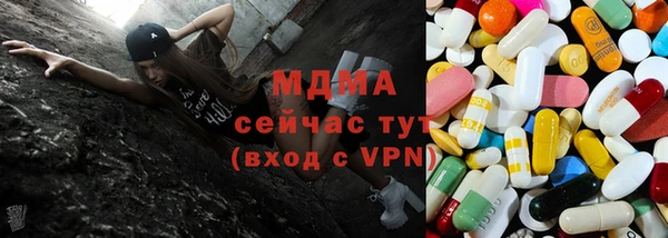 гидра Белокуриха